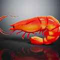 Red Shrimp With Vibrant Color And Glossy Texture On Dark Surface With Reflection 3d model
