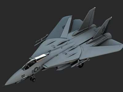 Gray F-14 Fighter Jet With Twin Tail Fins Weapon Mounts And Military Cockpit 3d model