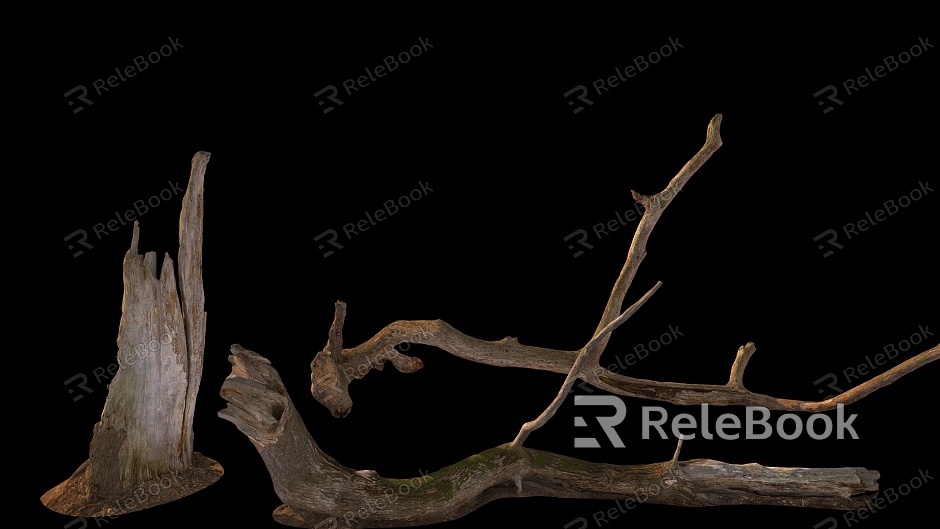 branches stump wood dead branches model