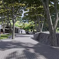Tranquil Garden Landscape Design With Tree Lined Pathway Green Lawn And Stone Walls