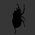Detailed Bronze Beetle Sculpture With Realistic Horns And Legs Design