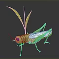 Green Grasshopper With Red Eyes And White Wings Near Green Grass Leaves On Gray Background