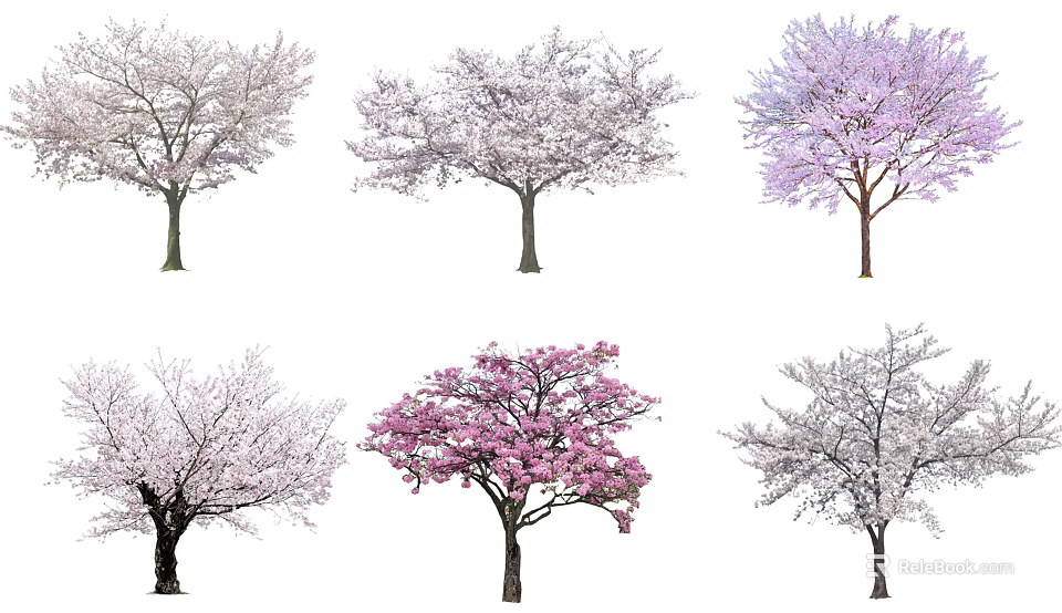 Beautiful Flowering Trees With Pink And White Blossoms In Various Shapes 3d model 