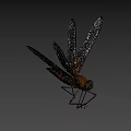 Colorful Dragonfly With Blue Wings And Yellow Brown Body Flying On Dark Background