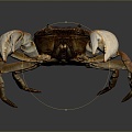 crab sea crab river crab hairy crab bread crab hermit crab big crab small crab marine animal fish 3d model