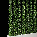 Lush Green Plant Wall With Hanging Vines And White Planter Containers