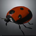 Realistic Red Ladybug With Black Spots On Shiny Back And Thin Black Antennae 3d model