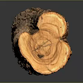 Natural Wooden Log With Cross Section Visible Growth Rings And Detailed Texture On Black Background