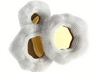 Set of Textured Flower Shaped Decorative Wall Mirrors with Artistic Design 3d model