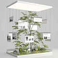 Window Display Decoration With Hanging Display Boards Text Images A Tree And Green Plants