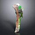 Sculptural Staircase Design With Brick Red Steps Greenery And Glass Accents