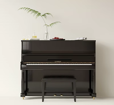 Black Piano With Art Supplies Vase Plant Fruit Bowl And Glassware On Top 3d model