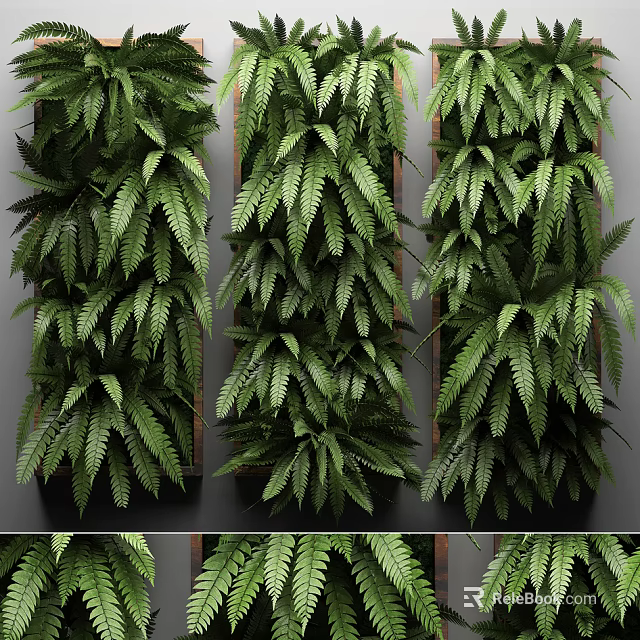 Living Green Plant Wall With Lush Ferns And Vertical Design For Indoor Decor 3d model 
