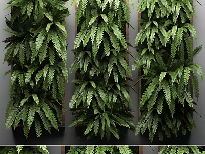 Living Green Plant Wall With Lush Ferns And Vertical Design For Indoor Decor 3d model