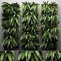 Living Green Plant Wall With Lush Ferns And Vertical Design For Indoor Decor