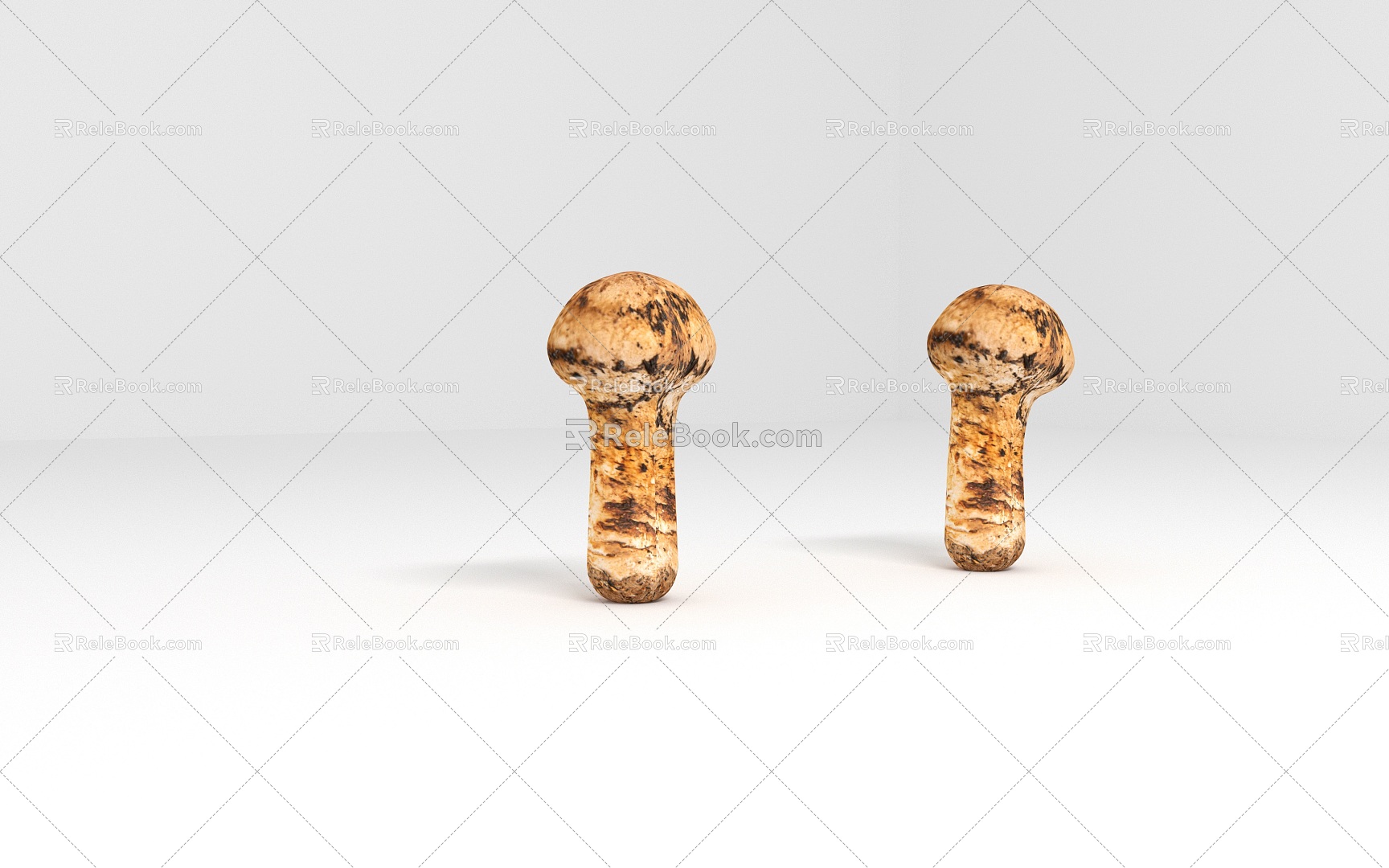 outdoor wild mushroom matsutake 3d model