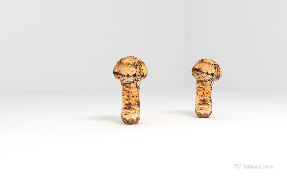 Fresh Wild Mushrooms with Brown Spotted Textured Caps on White Background 3d model 