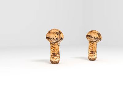 Fresh Wild Mushrooms with Brown Spotted Textured Caps on White Background 3d model