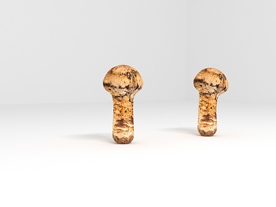 outdoor wild mushroom matsutake 3d model