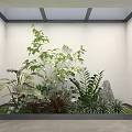 Indoor Green Plants Garden With Lush Foliage Decorative Stone And Natural Light