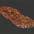 Natural Plant Landscape With Green Moss Fallen Leaves And Small Twigs In Irregular Shape