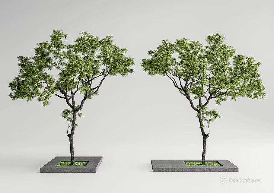 Two Green Leaf Trees With Black Trunks In Square Gray Bases On Light Gray Background 3d model 