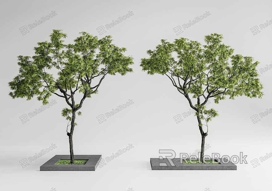 Landscape tree, courtyard tree, modeling tree, arbor model