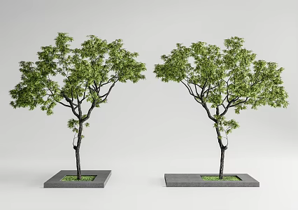 Landscape tree, courtyard tree, modeling tree, arbor 3d model
