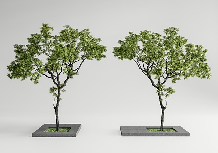 Landscape tree, courtyard tree, modeling tree, arbor 3d model