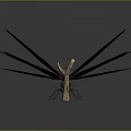 Green and Black Dragonfly with Slender Body and Black Wings Next to Wooden Stick