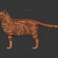 Modern Cat Yellow Cat Kitten Flower Cat Domestic Cat 3d model