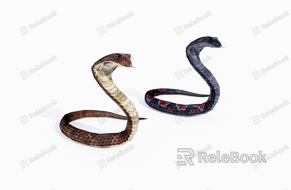 Reptile snake model