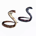 Reptile snake 3d model