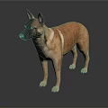 Brown Dog Standing On Dark Surface With Reflection In Studio Environment 3d model