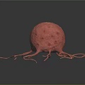 3D Rendered Organ Structure With Hair Like Projections And Red Spherical Body