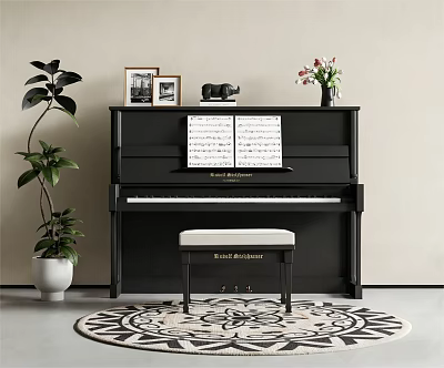 Elegant Black Piano With Sheet Music Photo Frames Radio And Decorative Plants 3d model