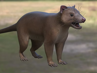 Brown Reptile With Open Mouth Sharp Teeth And Long Tail Standing On Natural Ground 3d model