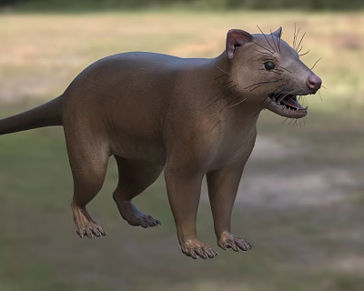 Brown Reptile With Open Mouth Sharp Teeth And Long Tail Standing On Natural Ground 3d model