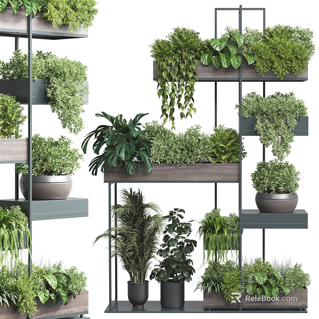 Bonsai Potted Plants On Multi Tiered Wooden And Metal Shelves With Lush Green Species 3d model 
