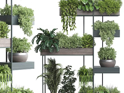 Bonsai Potted Plants On Multi Tiered Wooden And Metal Shelves With Lush Green Species 3d model