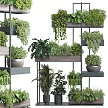 Bonsai Potted Plants On Multi Tiered Wooden And Metal Shelves With Lush Green Species