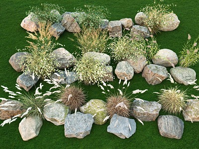 Flowers, plants, reeds, landscape, plant, stone combination, grass, plants, courtyard, flowers, plants, landscape stone 3d model