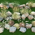 Flowers, plants, reeds, landscape, plant, stone combination, grass, plants, courtyard, flowers, plants, landscape stone 3d model