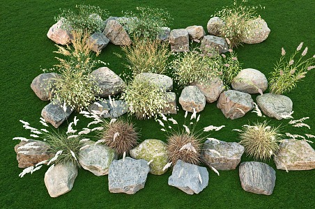 Flowers, plants, reeds, landscape, plant, stone combination, grass, plants, courtyard, flowers, plants, landscape stone 3d model