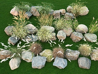 Flowers, plants, reeds, landscape, plant, stone combination, grass, plants, courtyard, flowers, plants, landscape stone 3d model