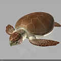 3D Rendered Brown And White Turtle With Textured Shell And Spotted Limbs On Dark Background