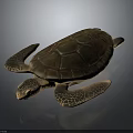Realistic Colorful Sea Turtle With Detailed Shell Texture And Webbed Flippers Design