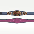 Blue And Purple Championship Belts With Decorative Emblems And Stylish Design