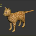 Striking Orange Tabby Cat Standing On Shiny Surface With Black Background