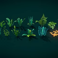 Colorful Aquatic Plants Featuring Various Green Blue Orange Red Seaweed And Coral Like Structures